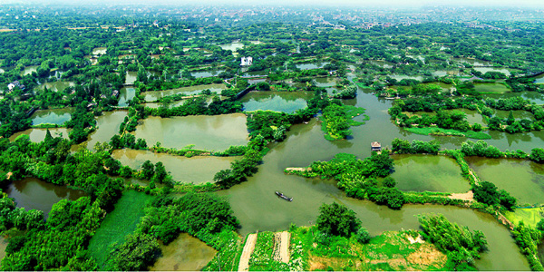 Xixi National Wetland Park - ภาพที่ (25)