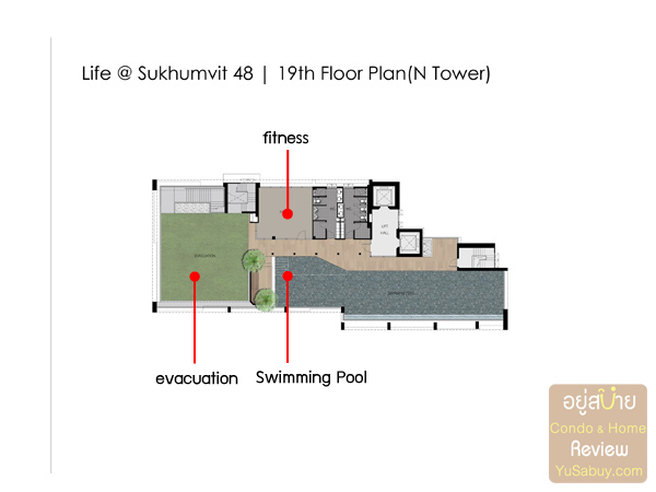 Floor Plan Life Sukhumvit 48 ชั้น 19 ตึก N