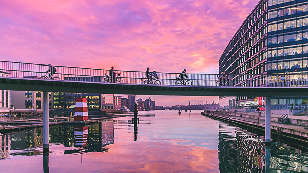 ทางจักรยาน ประเทศเดนมาร์ค (ภาพที่ 8)
