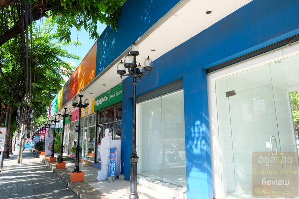 Premio Quinto Phaholyothin (พริมิโอ ควินโต พหลโยธิน)