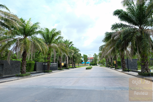 The Palm กะทู้-ป่าตอง Pruksa Avenue