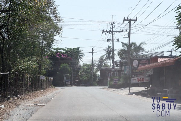 The Plant & Natura Trend ปิ่นเกล้า-สาย5