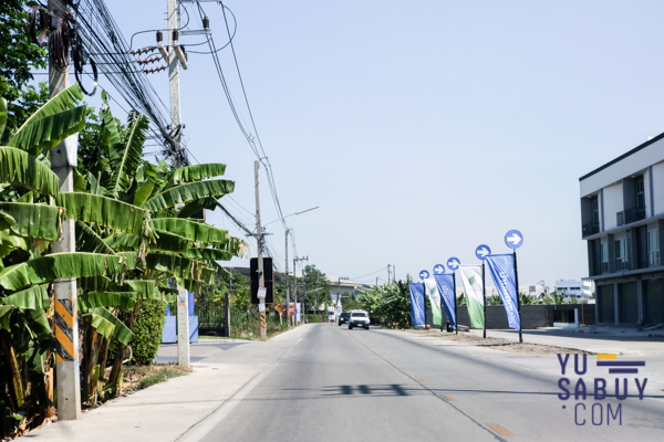 The Plant & Natura Trend ปิ่นเกล้า-สาย5