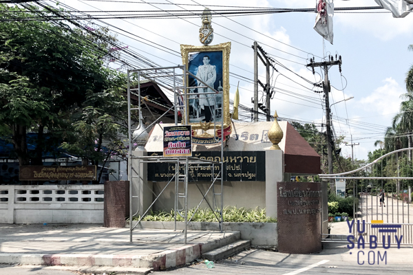 The Plant & Natura Trend ปิ่นเกล้า-สาย5