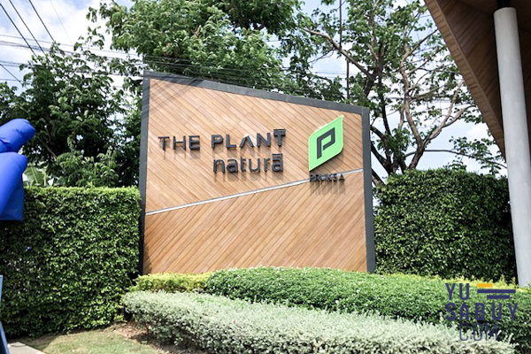 The Plant & Natura Trend ปิ่นเกล้า-สาย5