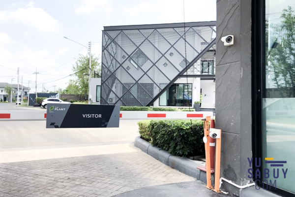 The Plant & Natura Trend ปิ่นเกล้า-สาย5