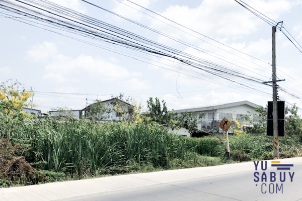 The Plant & Natura Trend ปิ่นเกล้า-สาย5