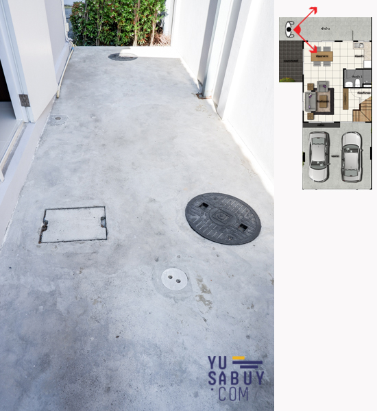 The Plant & Natura Trend ปิ่นเกล้า-สาย5