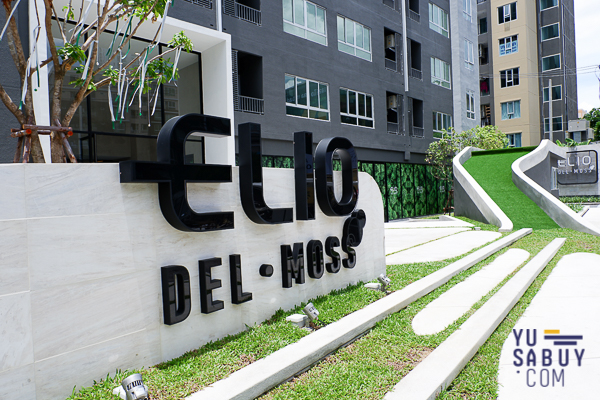 Elio del moss (ภาพที่1)