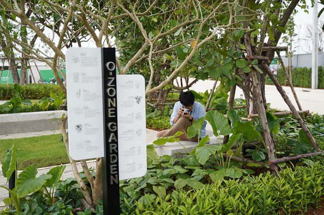 ชวนชื่น พาร์ค ปิ่นเกล้า-กาญจนา