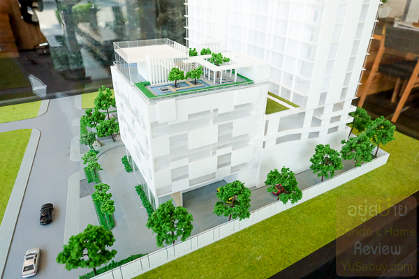 Siamese Exclusive Sukhumvit 42 Model - (ภาพที่ 10)