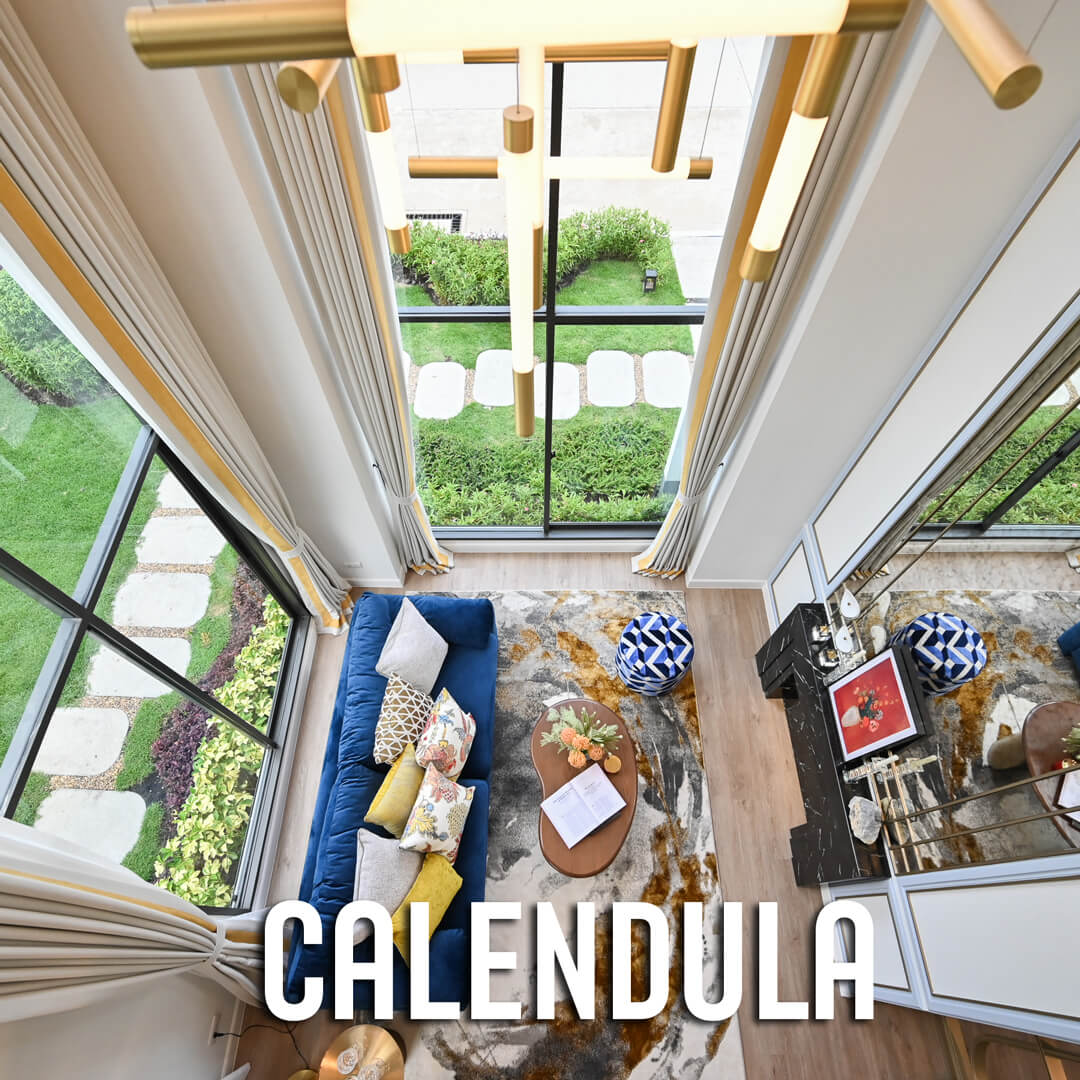 แบบบ้าน-Calendula