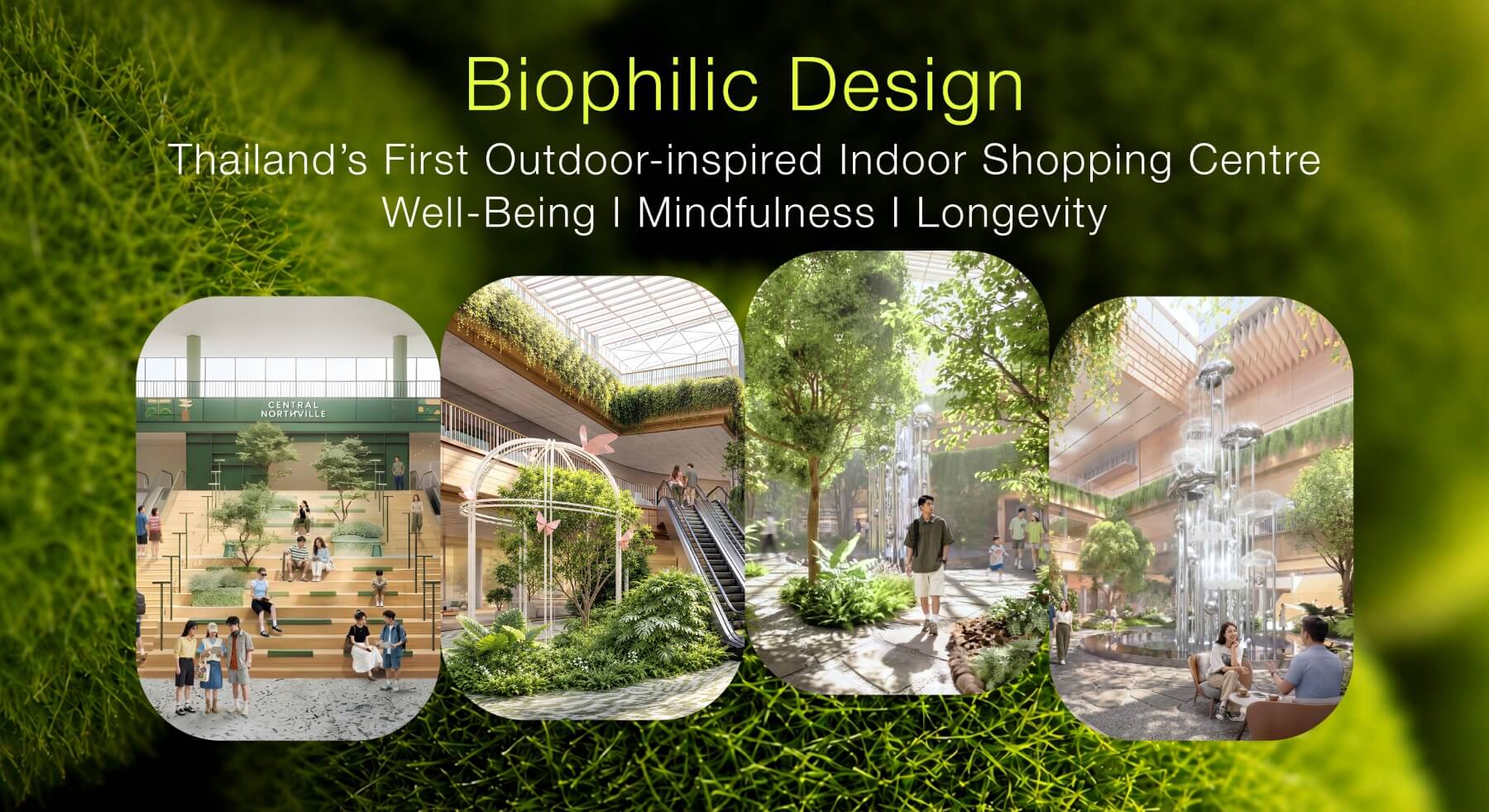 Central Northville-biophilic design