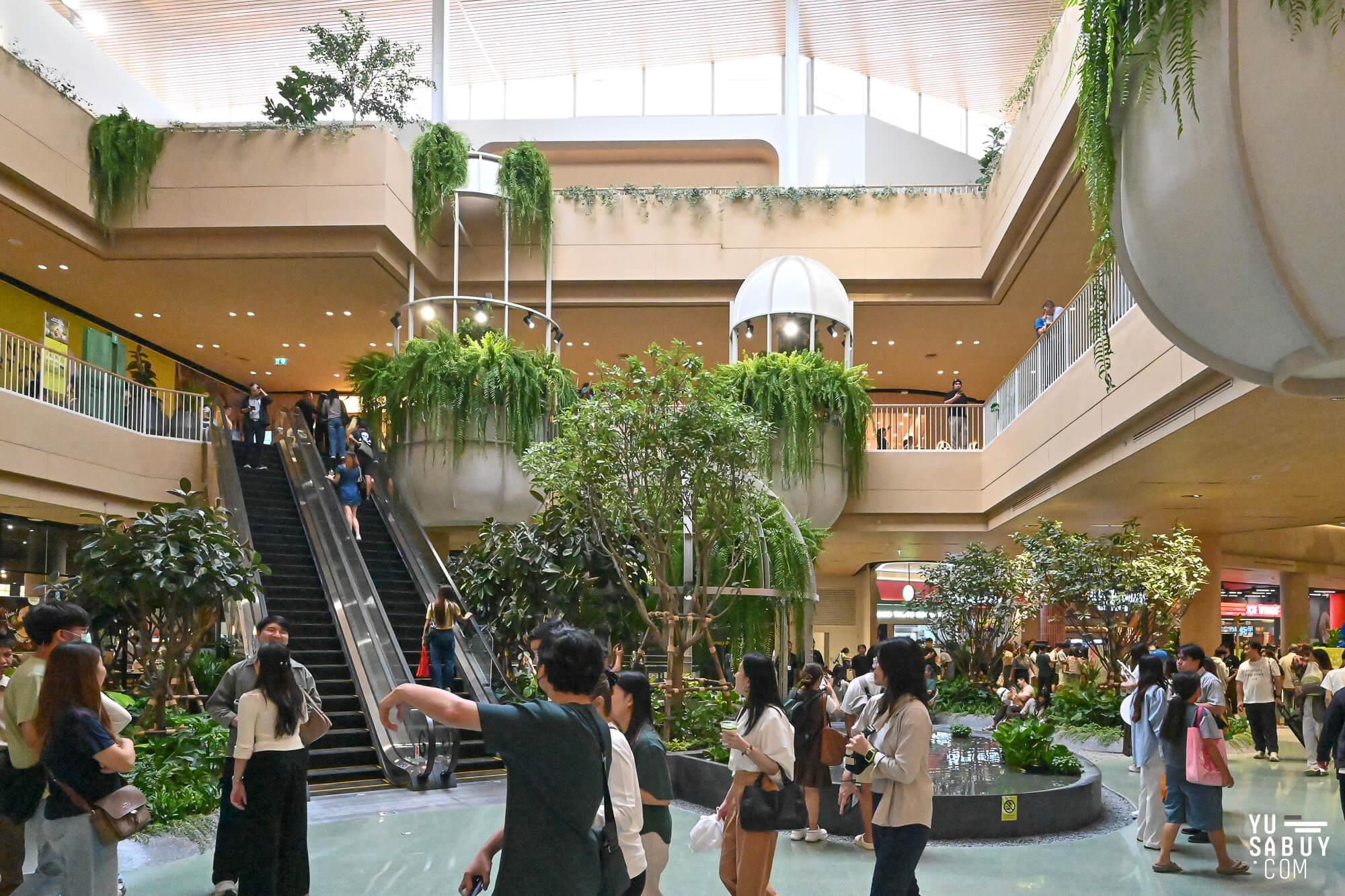 Central Northville ภาพที่ 7